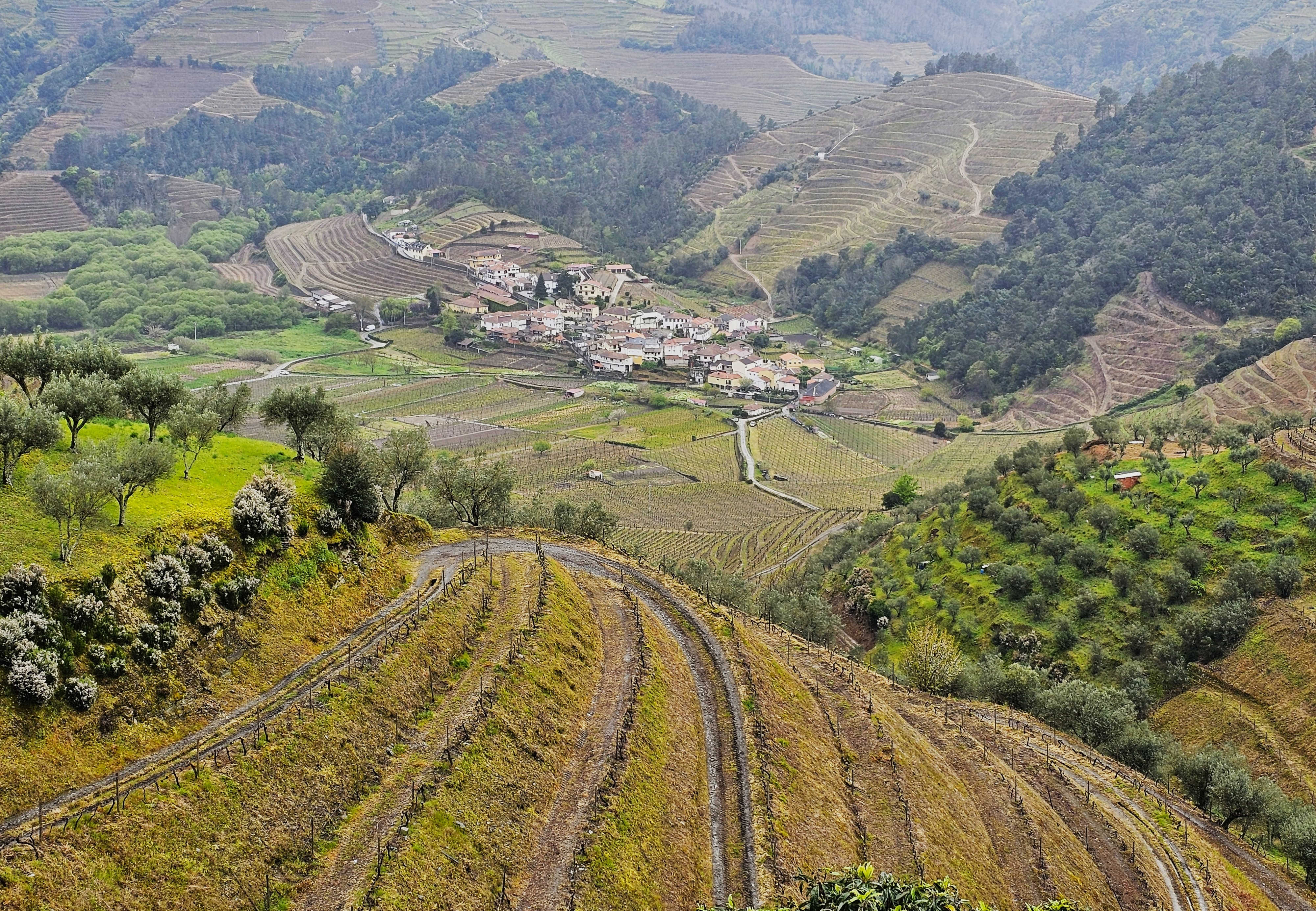 Douro